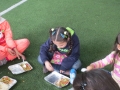 Lebanon Programs
