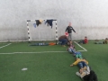 Lebanon Program